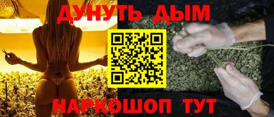спайс Аша
