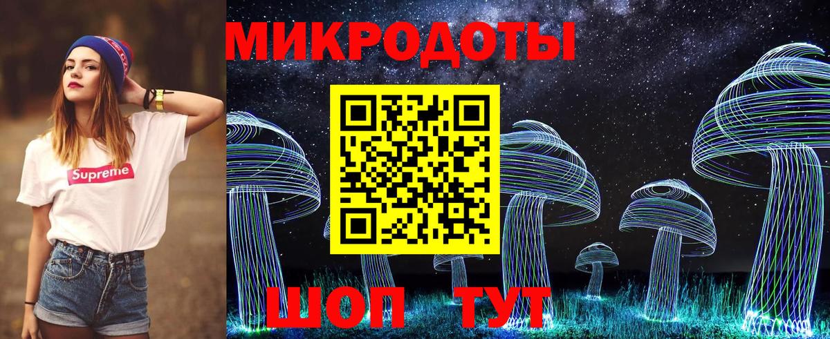 Псилоцибиновые грибы прущие грибы  Вход с VPN  Галлюциногенные грибы Cubensis  Зима 