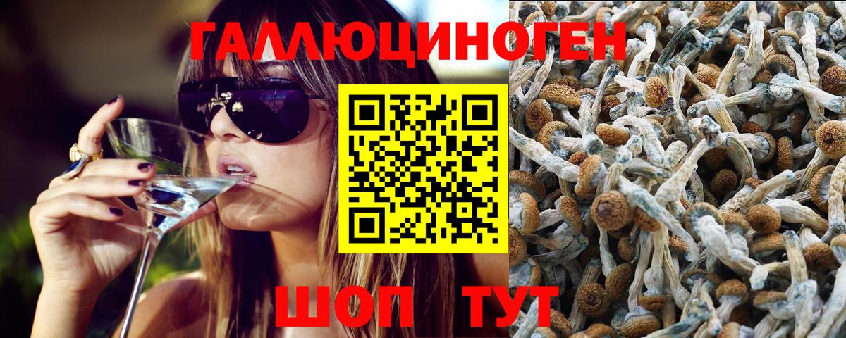 Галлюциногенные грибы мухоморы Зима