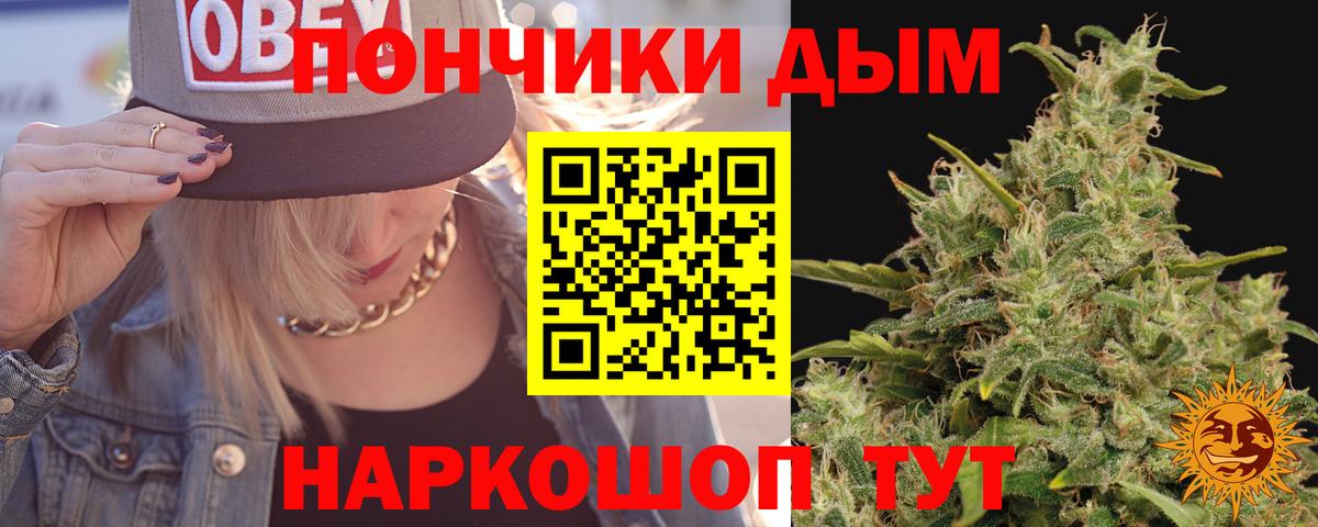 Бошки Шишки планчик Зима